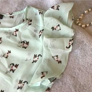 Sheer cat shirt